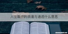 人生最终的浪漫与通透什么意思