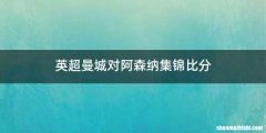 英超曼城对阿森纳集锦比分