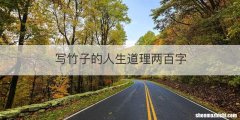 写竹子的人生道理两百字