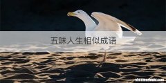 五味人生相似成语