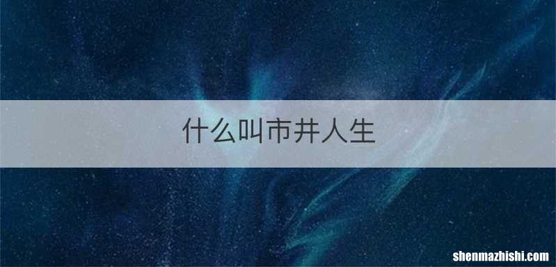 什么叫市井人生
