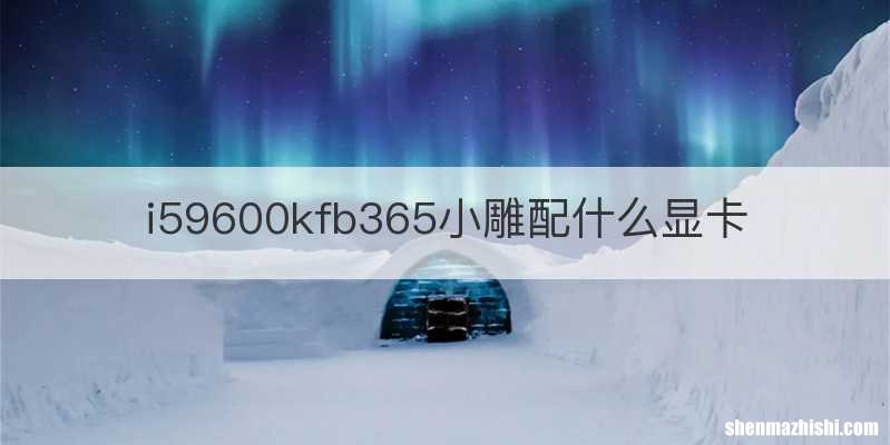 i59600kfb365小雕配什么显卡