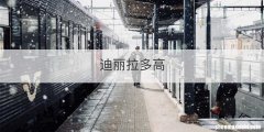 迪丽拉多高