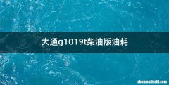 大通g1019t柴油版油耗