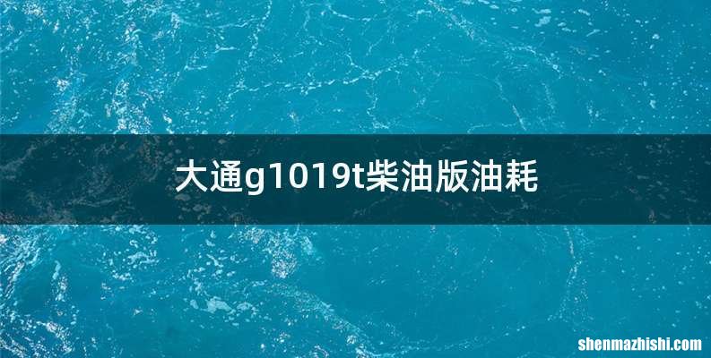 大通g1019t柴油版油耗