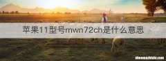 苹果11型号mwn72ch是什么意思