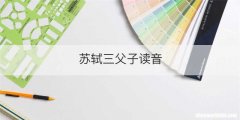 苏轼三父子读音