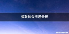 曼联转会市场分析