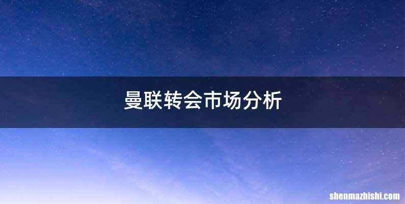 曼联转会市场分析