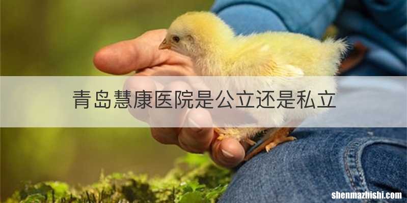 青岛慧康医院是公立还是私立
