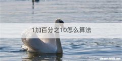 1加百分之10怎么算法