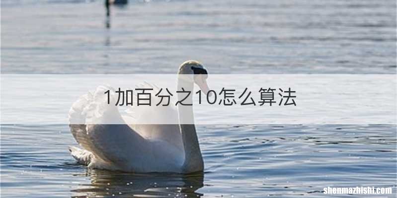 1加百分之10怎么算法