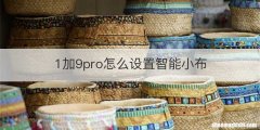 1加9pro怎么设置智能小布