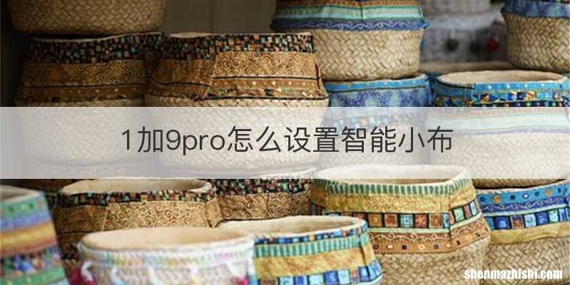 1加9pro怎么设置智能小布