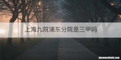 上海九院浦东分院是三甲吗