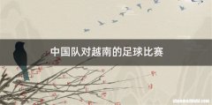 中国队对越南的足球比赛