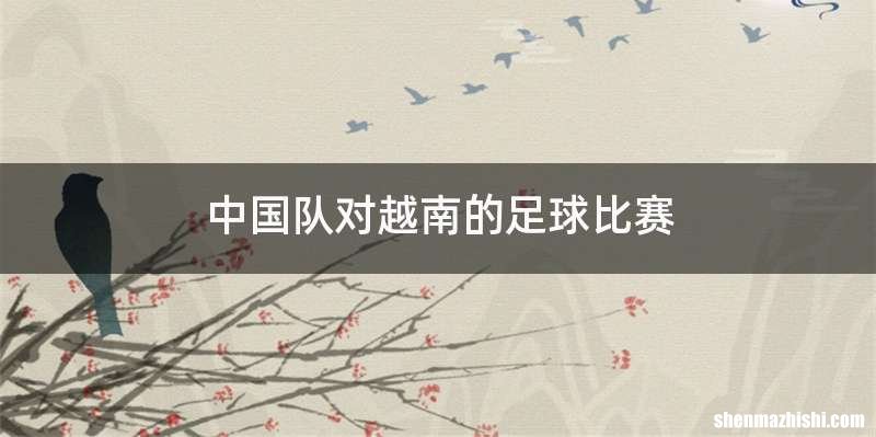 中国队对越南的足球比赛