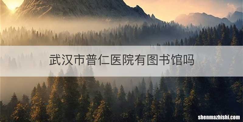 武汉市普仁医院有图书馆吗