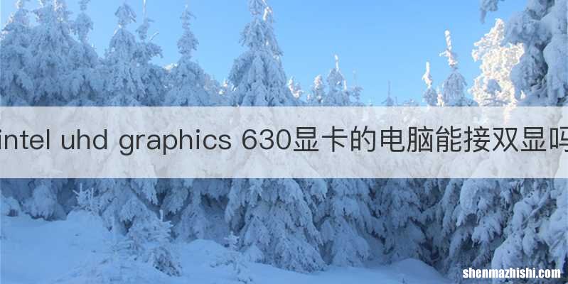 intel uhd graphics 630显卡的电脑能接双显吗