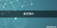 夜巴黎A