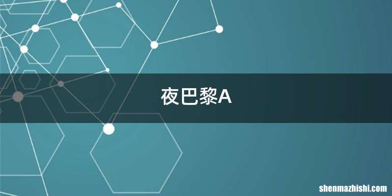 夜巴黎A