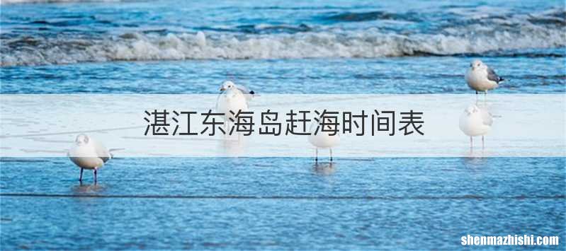 湛江东海岛赶海时间表