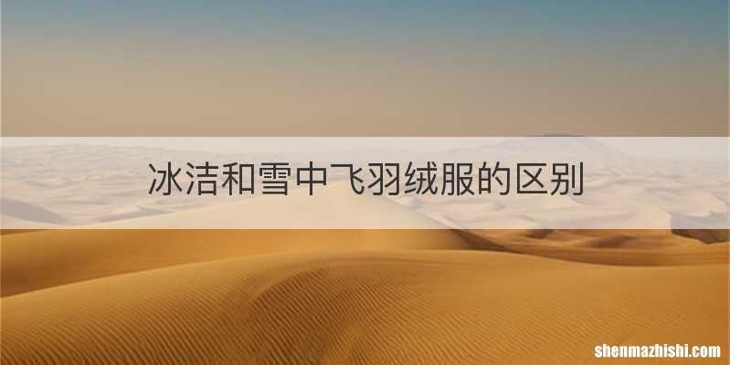冰洁和雪中飞羽绒服的区别