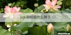 jcjk羽绒服什么牌子