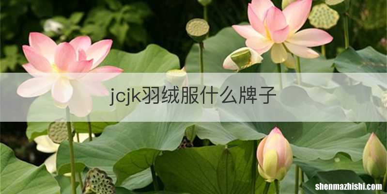 jcjk羽绒服什么牌子