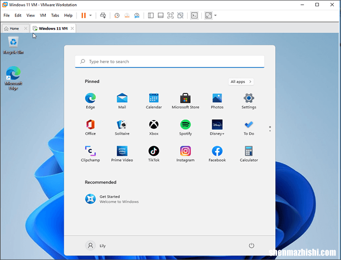 如何修复VMware Workstation EFI网络超时