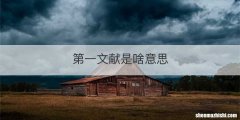 第一文献是啥意思