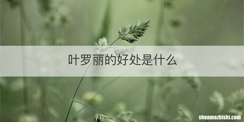 叶罗丽的好处是什么