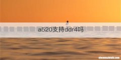 a520支持ddr4吗