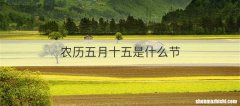 农历五月十五是什么节