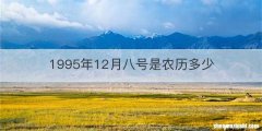 1995年12月八号是农历多少