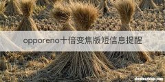 opporeno十倍变焦版短信息提醒