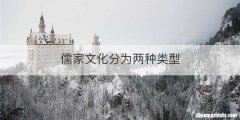 儒家文化分为两种类型
