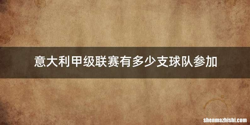 意大利甲级联赛有多少支球队参加