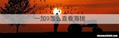 一加9怎么查看海拔