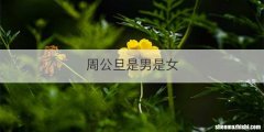 周公旦是男是女