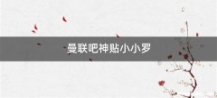 曼联吧神贴小小罗