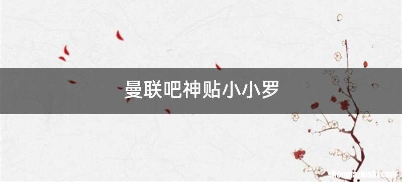 曼联吧神贴小小罗