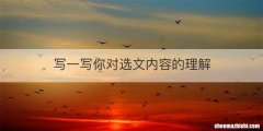 写一写你对选文内容的理解