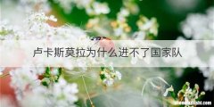 卢卡斯莫拉为什么进不了国家队