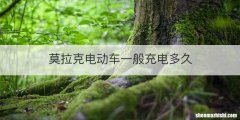 莫拉克电动车一般充电多久