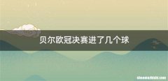 贝尔欧冠决赛进了几个球