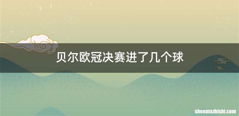 贝尔欧冠决赛进了几个球