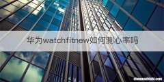 华为watchfitnew如何测心率吗