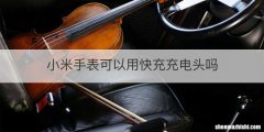 小米手表可以用快充充电头吗