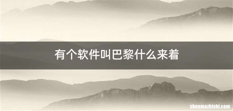 有个软件叫巴黎什么来着